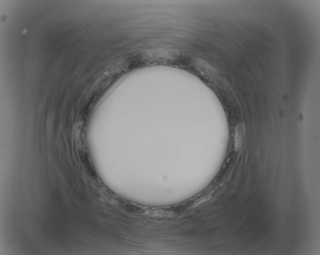 X0000081491059200702100024