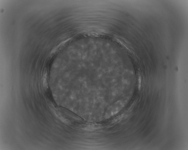 X0000081491060200702100024