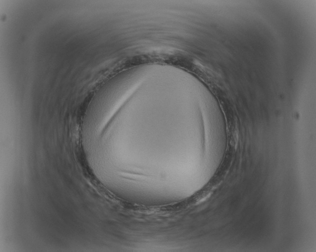 X0000081491061200702100024