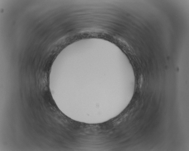 X0000081491062200702100024