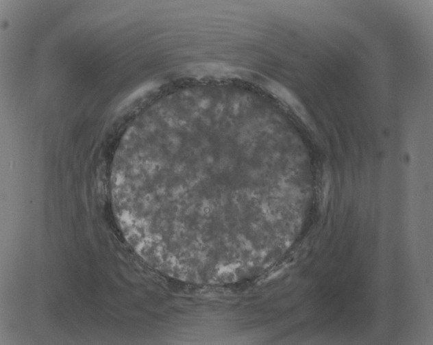 X0000081491063200702100024