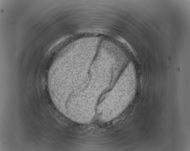 X0000081491064200702100024