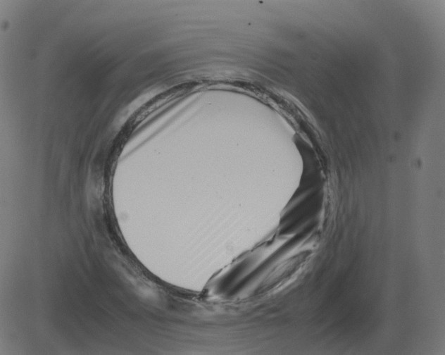 X0000081491065200702100024