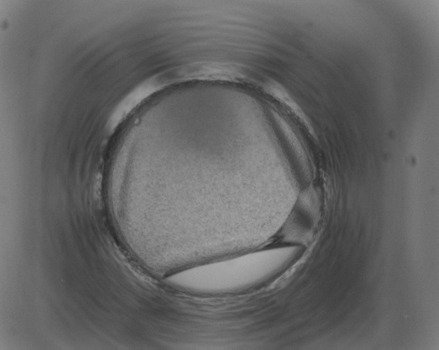 X0000081491066200702100024