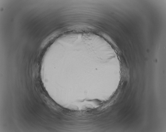 X0000081491067200702100024