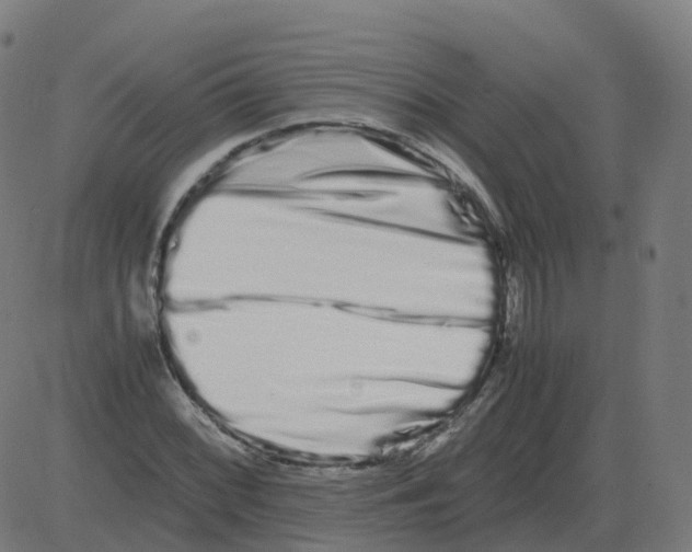 X0000081491068200702100024