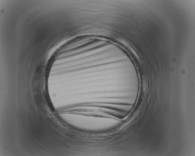 X0000081491069200702100024