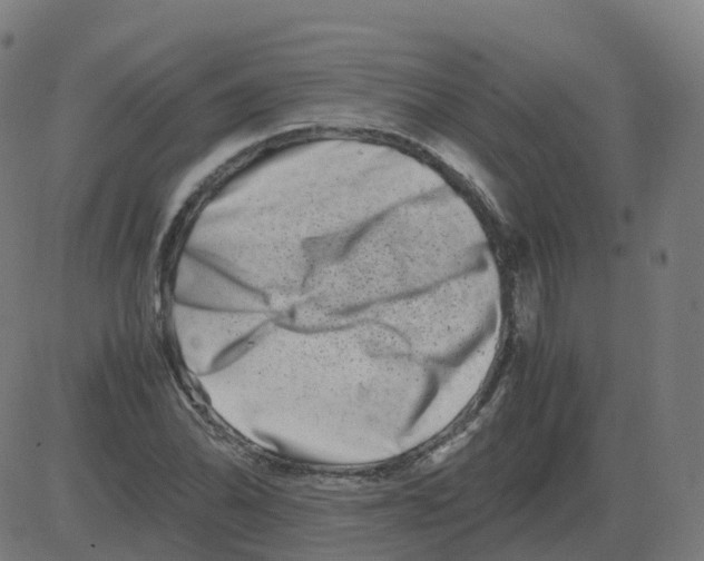 X0000081491070200702100024