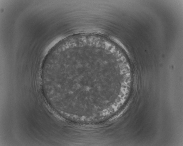 X0000081491071200702100024