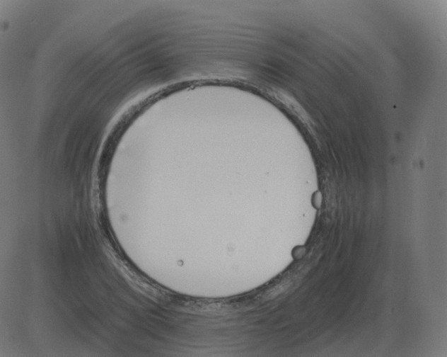 X0000081491072200702100024