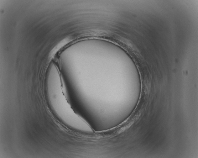 X0000081491073200702100024