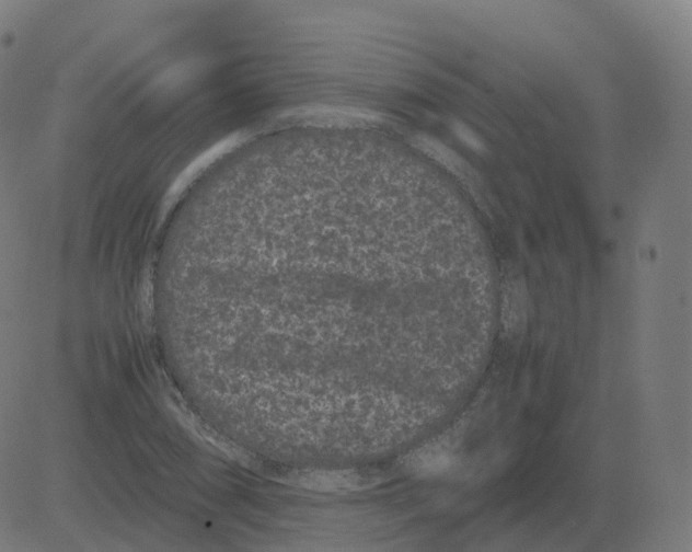 X0000081491074200702100024