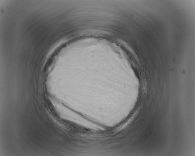 X0000081491075200702100024