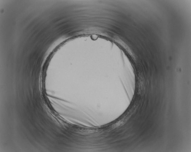 X0000081491076200702100024