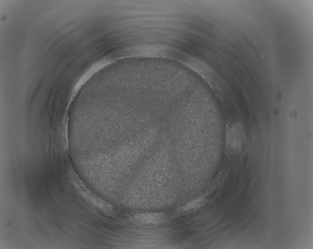 X0000081491078200702100024