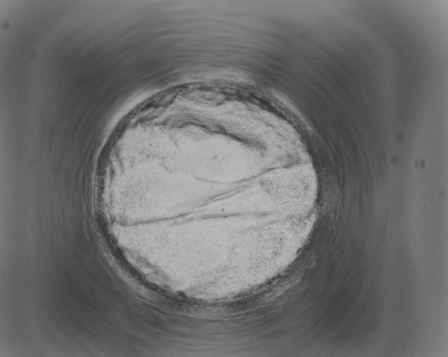 X0000081491079200702100024