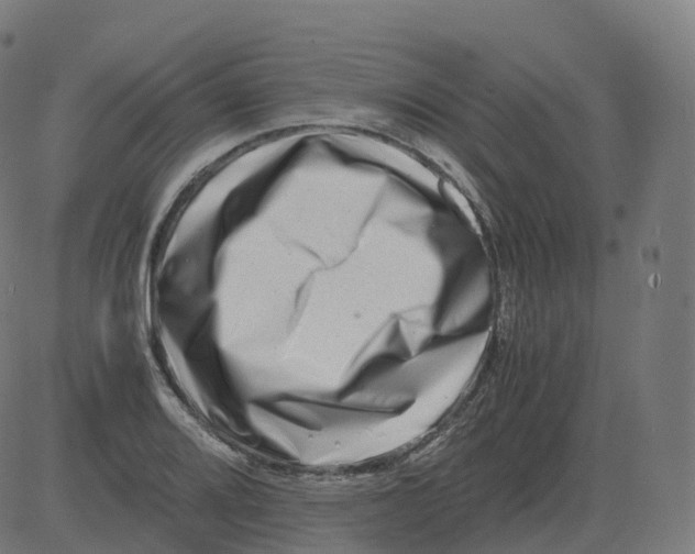 X0000081491080200702100024