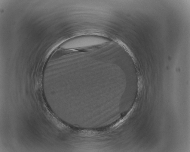 X0000081491081200702100024