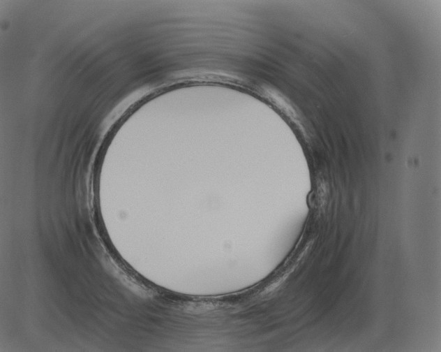 X0000081491082200702100024