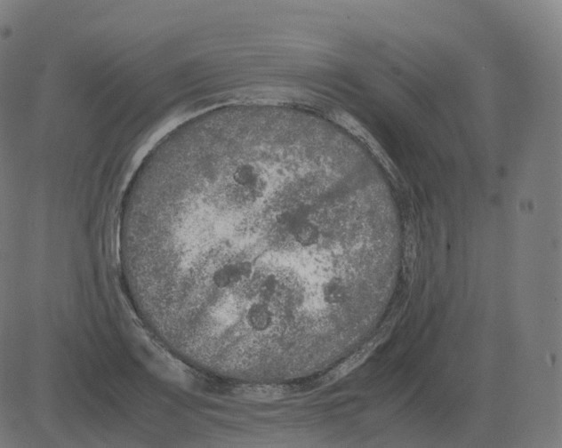 X0000081491083200702100024