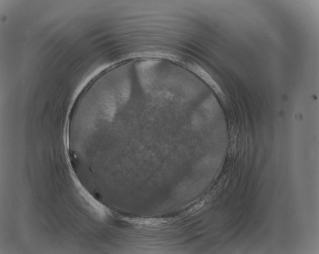 X0000081491084200702100024