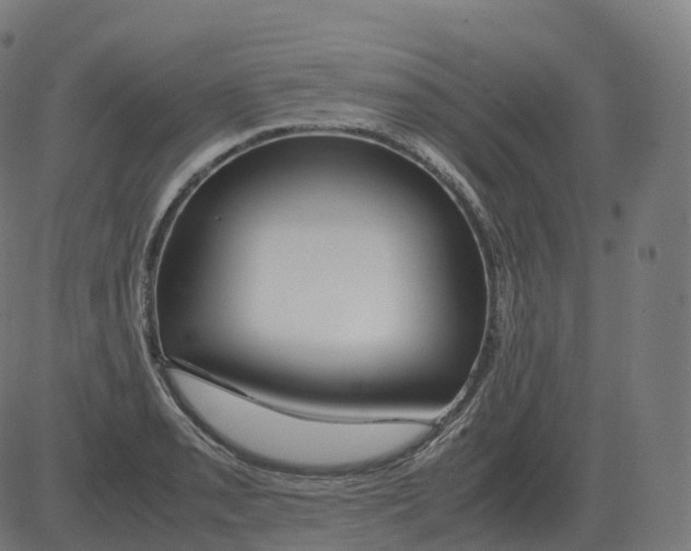 X0000081491085200702100024