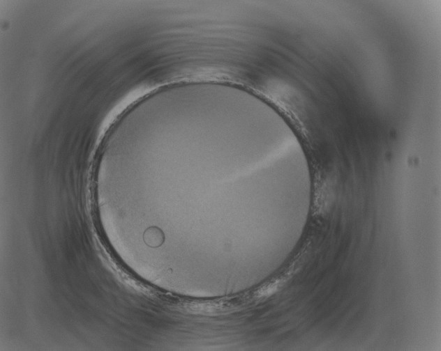 X0000081491086200702100024