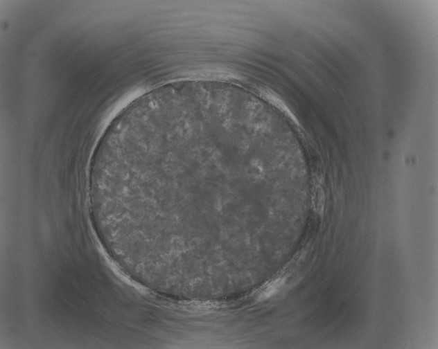 X0000081491087200702100024