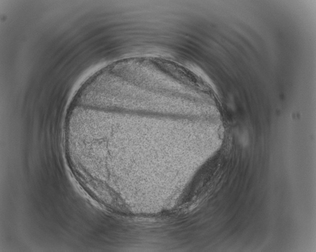 X0000081491088200702100024