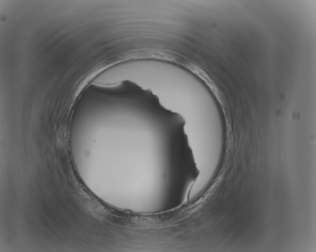 X0000081491089200702100024