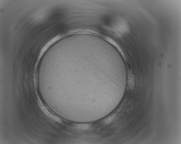 X0000081491090200702100024