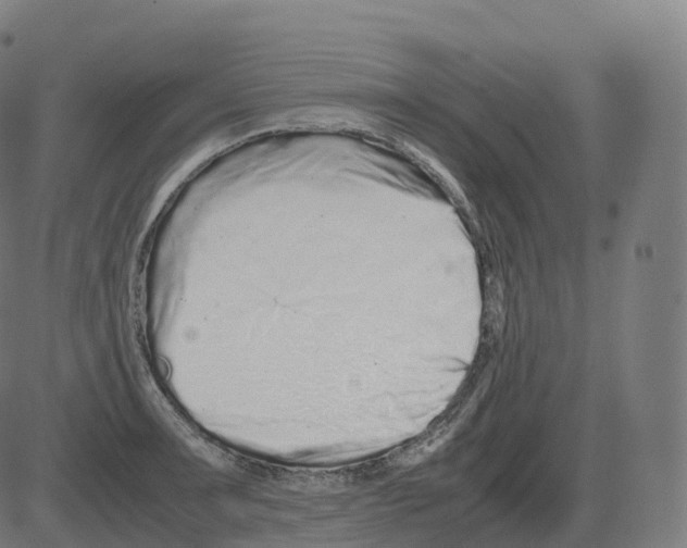 X0000081491091200702100024