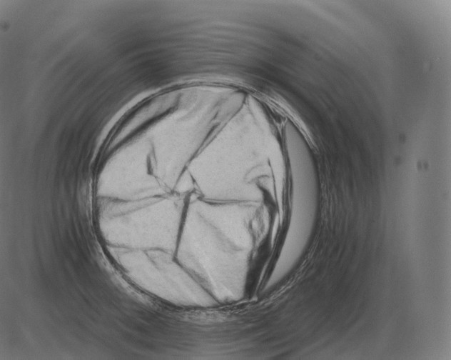 X0000081491092200702100024