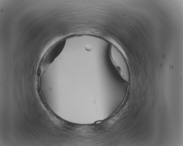 X0000081491093200702100024