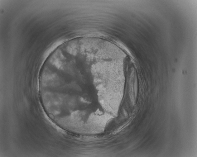 X0000081491095200702100024