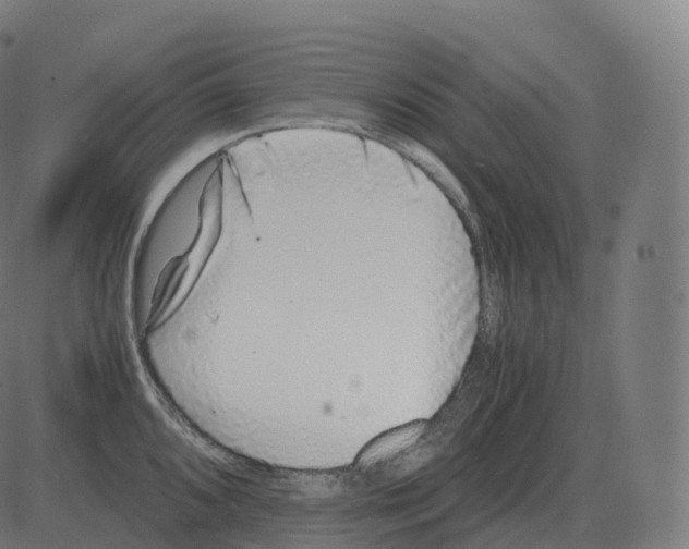 X0000081491096200702100024