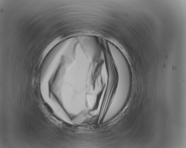 X0000081491097200702100024