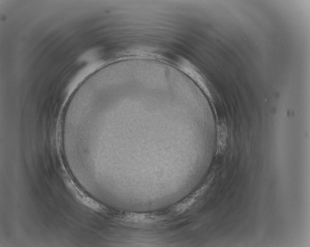 X0000081491098200702100024