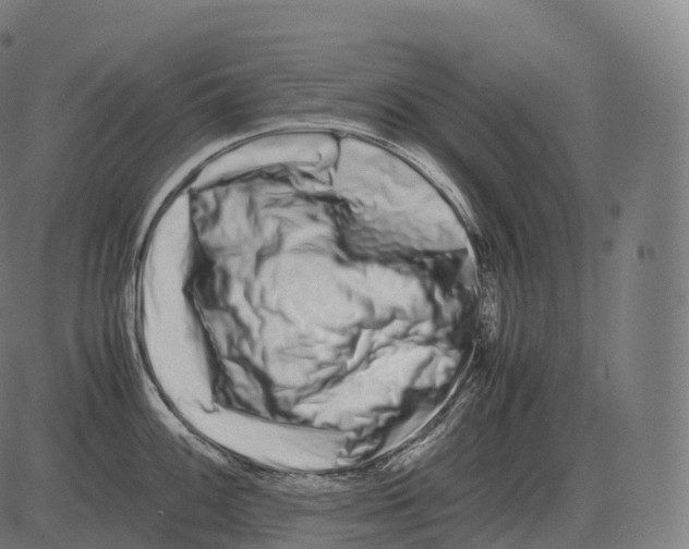 X0000081491100200702100024