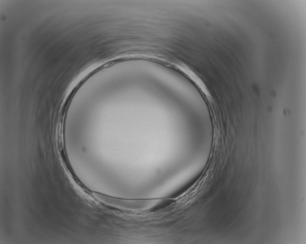 X0000081491101200702100024