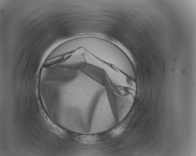 X0000081491102200702100024