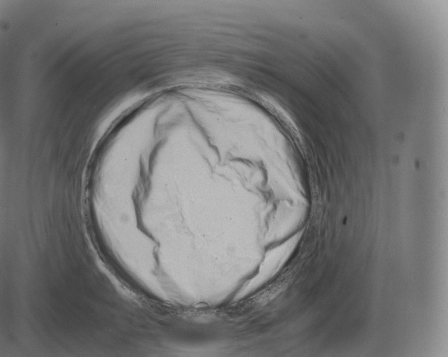 X0000081491103200702100024