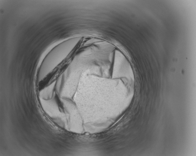 X0000081491104200702100024