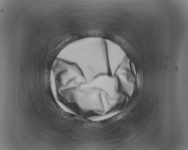 X0000081491107200702100023