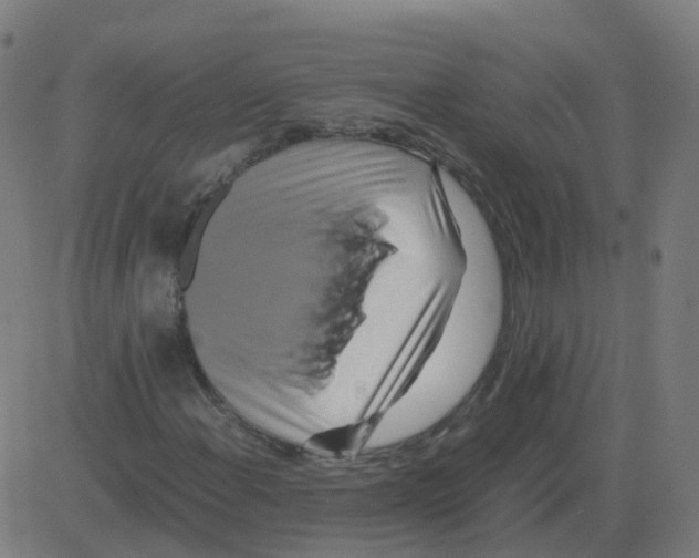 X0000081491108200702100023