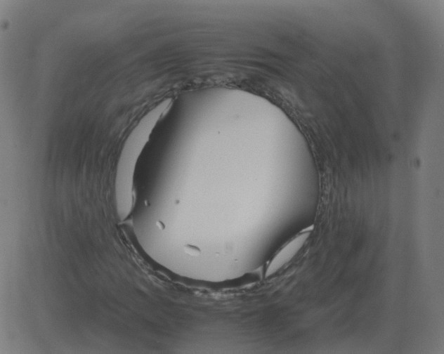 X0000081491109200702100023