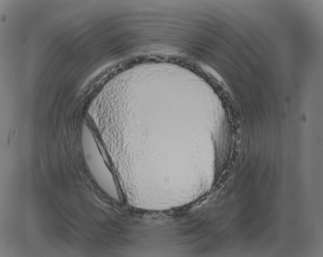 X0000081491112200702100023