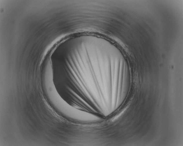 X0000081491118200702100023