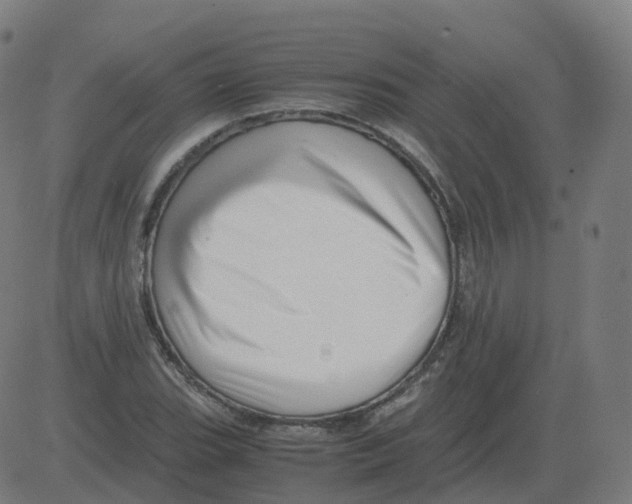 X0000081491119200702100023