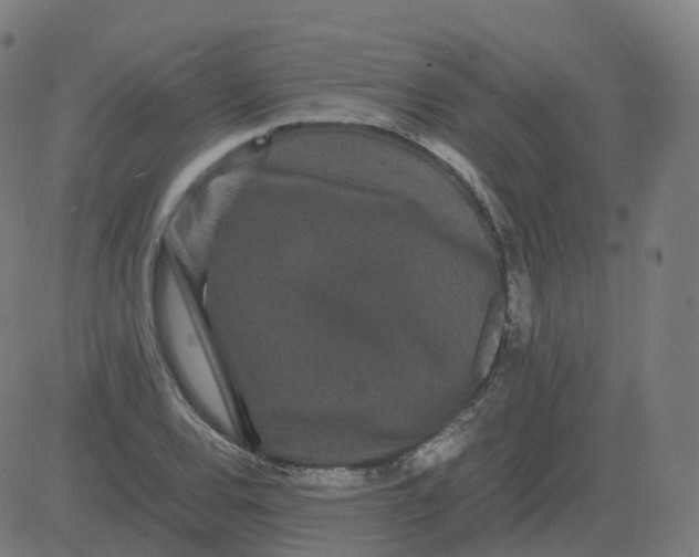 X0000081491120200702100023